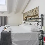 Stella 레체노